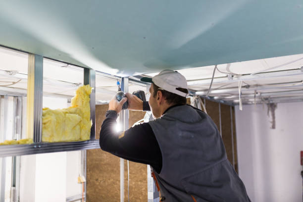 Insulation Inspection Services in East Alton, IL